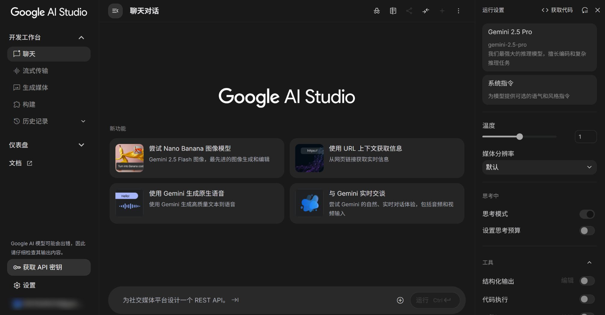 Google AI Studio 汉化效果